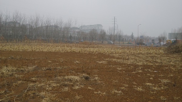 富沃德电力土壤与水对接地降阻的影响 (黄粘土)